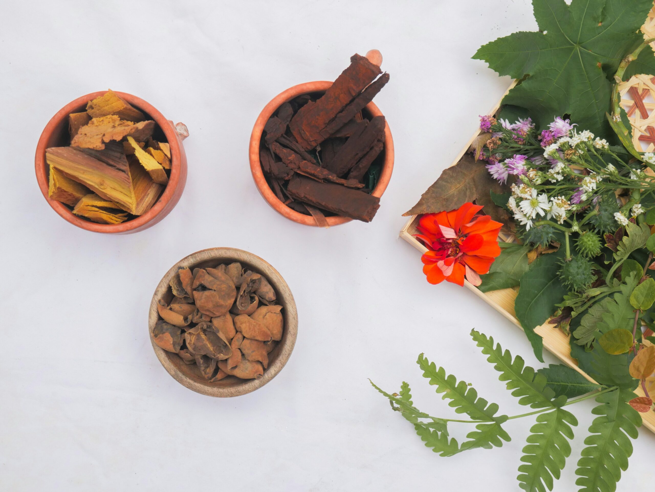 herbal natural ingredients in separation for production.